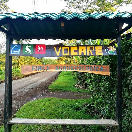 Vocare Finca Agroecologica Upala Εξωτερικό φωτογραφία