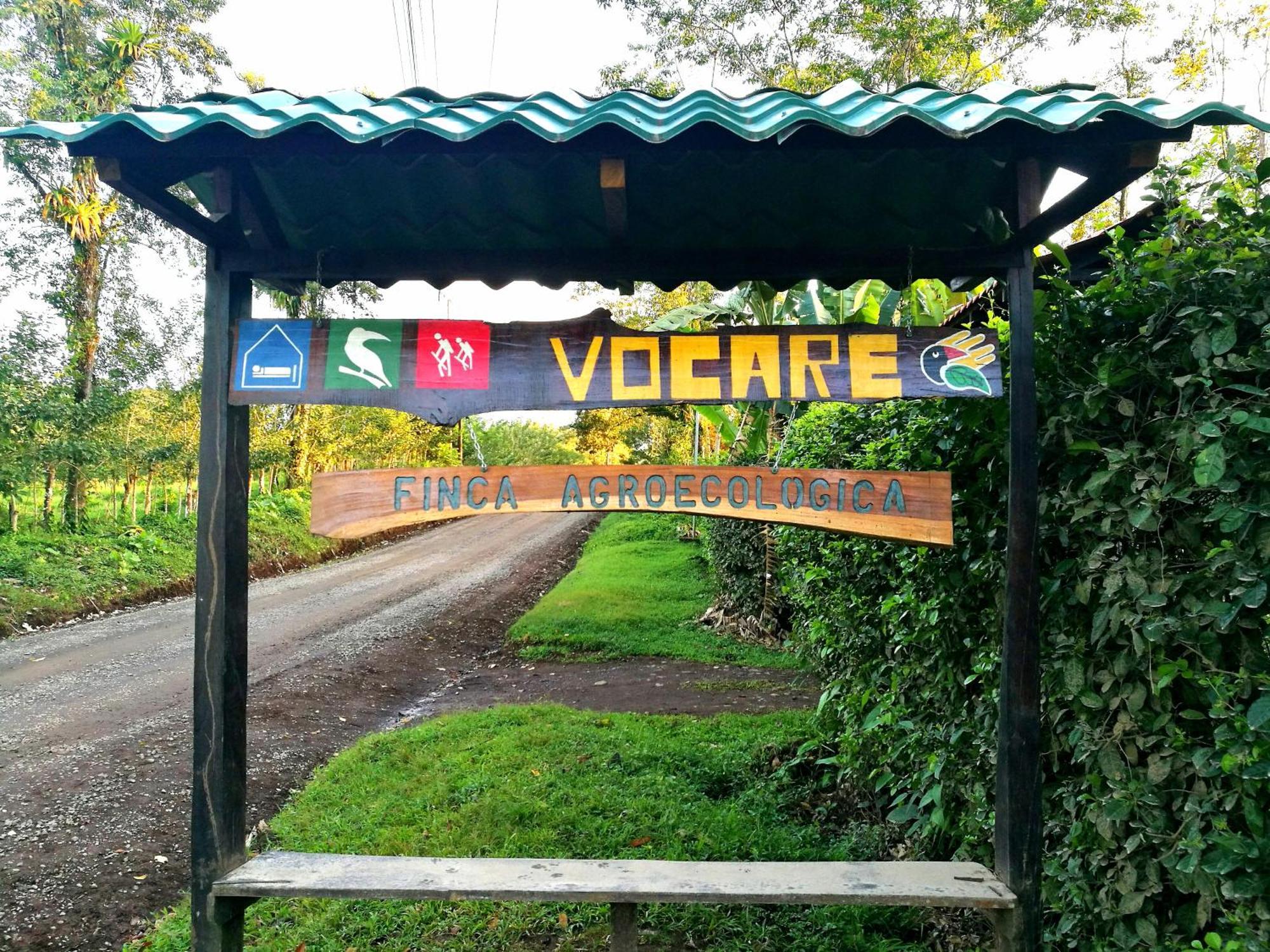 Vocare Finca Agroecologica Upala Εξωτερικό φωτογραφία