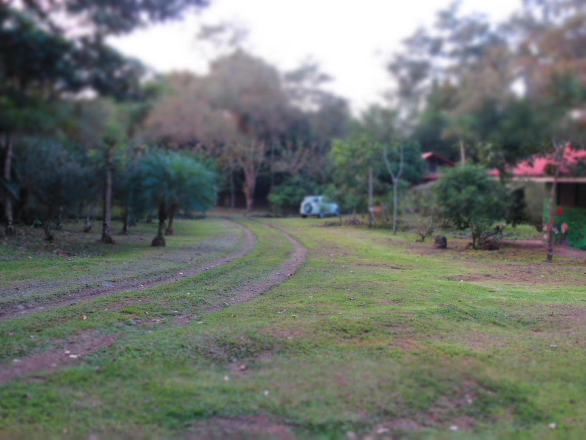 Vocare Finca Agroecologica Upala Εξωτερικό φωτογραφία