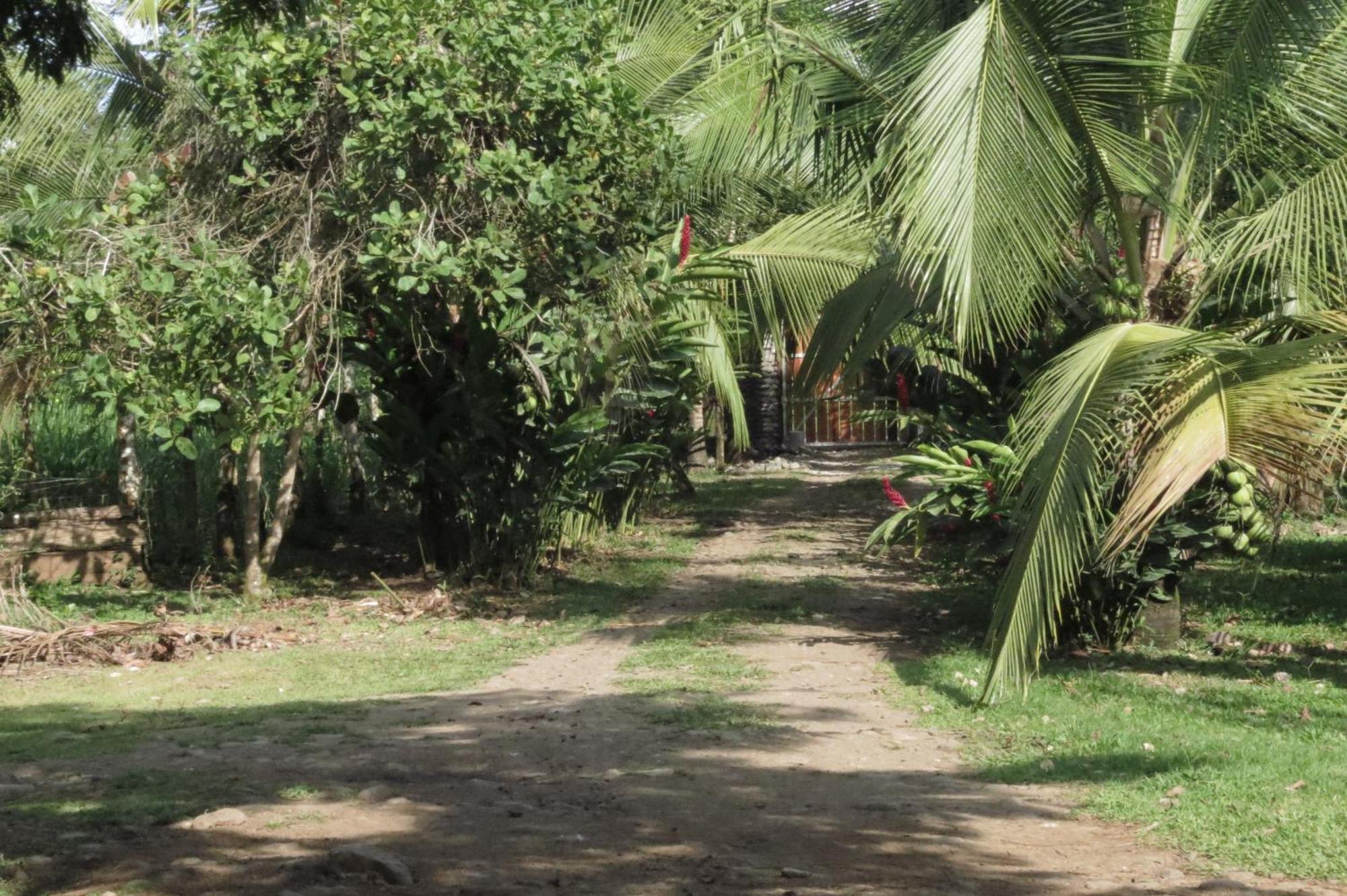 Vocare Finca Agroecologica Upala Εξωτερικό φωτογραφία